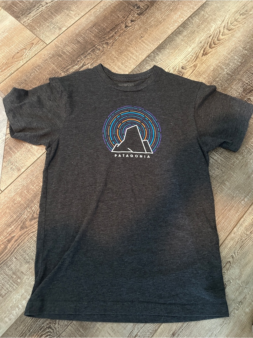 NWOT Patagonia Mountain Horizon Graphic T-Shirt Charcoal - Women's XS